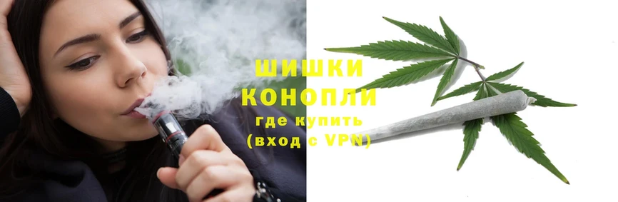 купить наркотик  Ртищево  Шишки марихуана THC 21% 